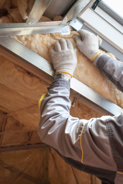Best Insulation Maintenance and Repair in Capitan, NM